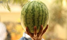 娱乐圈大瓜吃瓜,揭秘明星背后的惊人真相